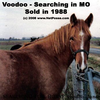SEARCHING FOR HORSE voodoo dancer, Near newburg, MO, 65550